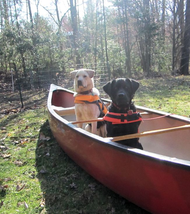 Dryland training 2.0