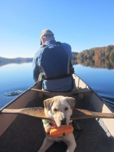 The carrying yoke makes a great head rest!