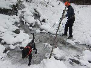 edgar mill trail icy
