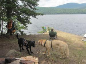 Tug of War was definitely the dog's favorite campsite game....