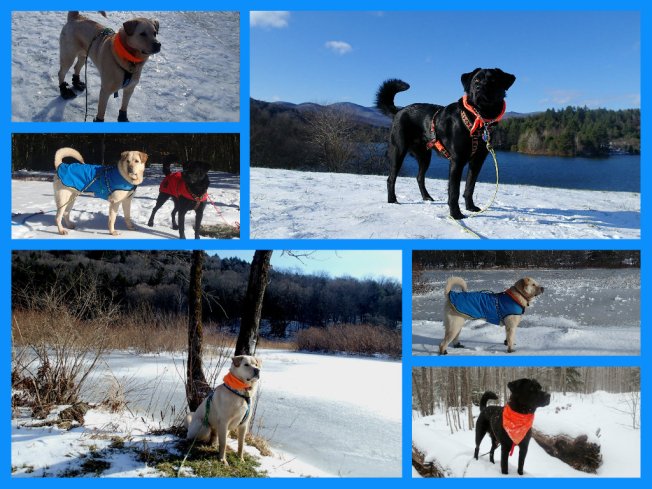 december 2014 collage