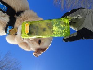 OLYMPUS DIGITAL CAMERA