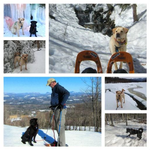 spring snow hikes 2015 collage