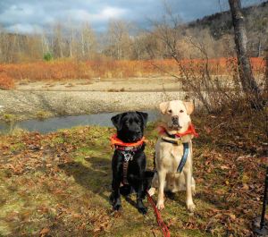 edgar 4th bday hike 1