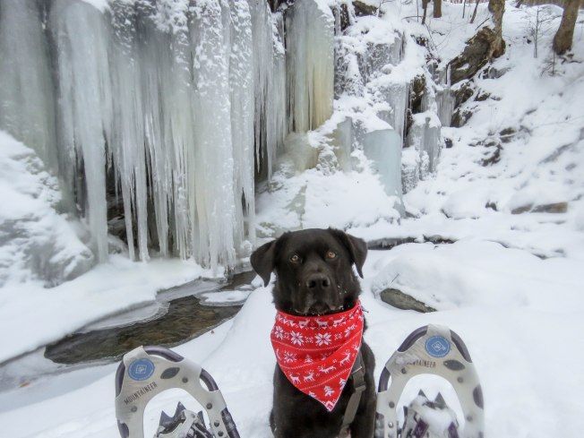 tubbs36 20dec cat 22 sb 7