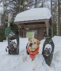 tubbs60 23jan sterling valley 28