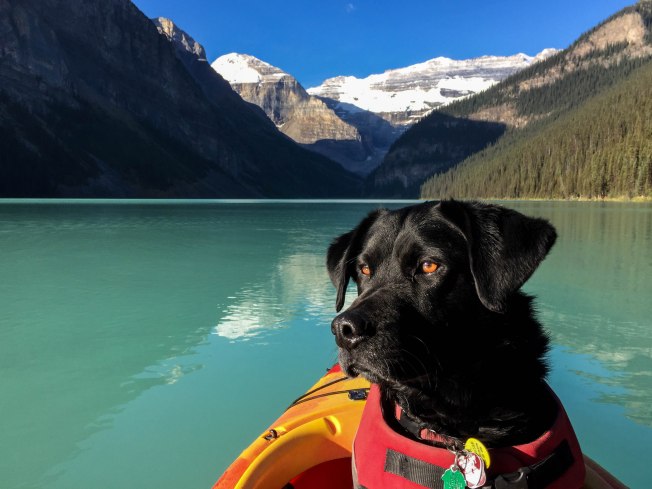 lake louise edgar head 2 c