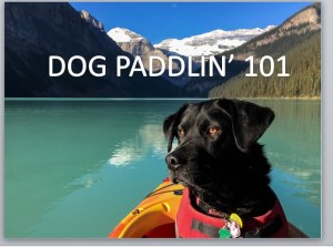 presentation cover 3