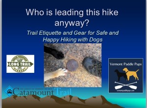 presentation cover 4